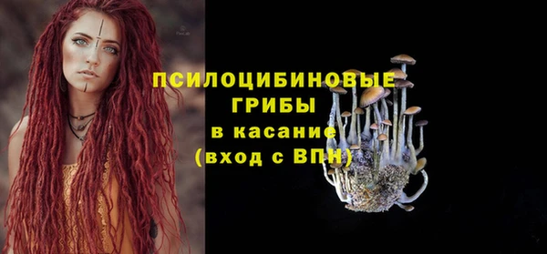 ALPHA PVP Гусиноозёрск