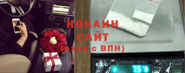 метадон Гусев