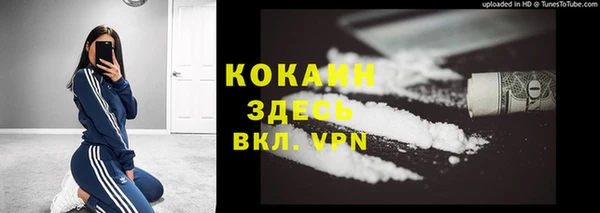 метадон Гусев