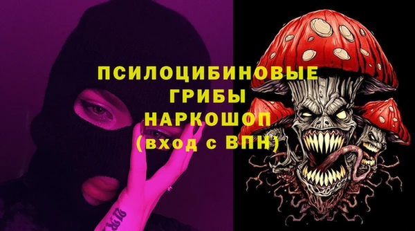 метадон Гусев