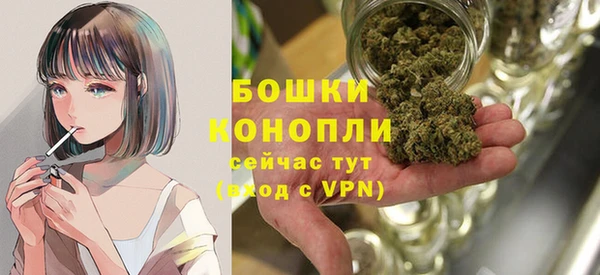 метадон Гусев